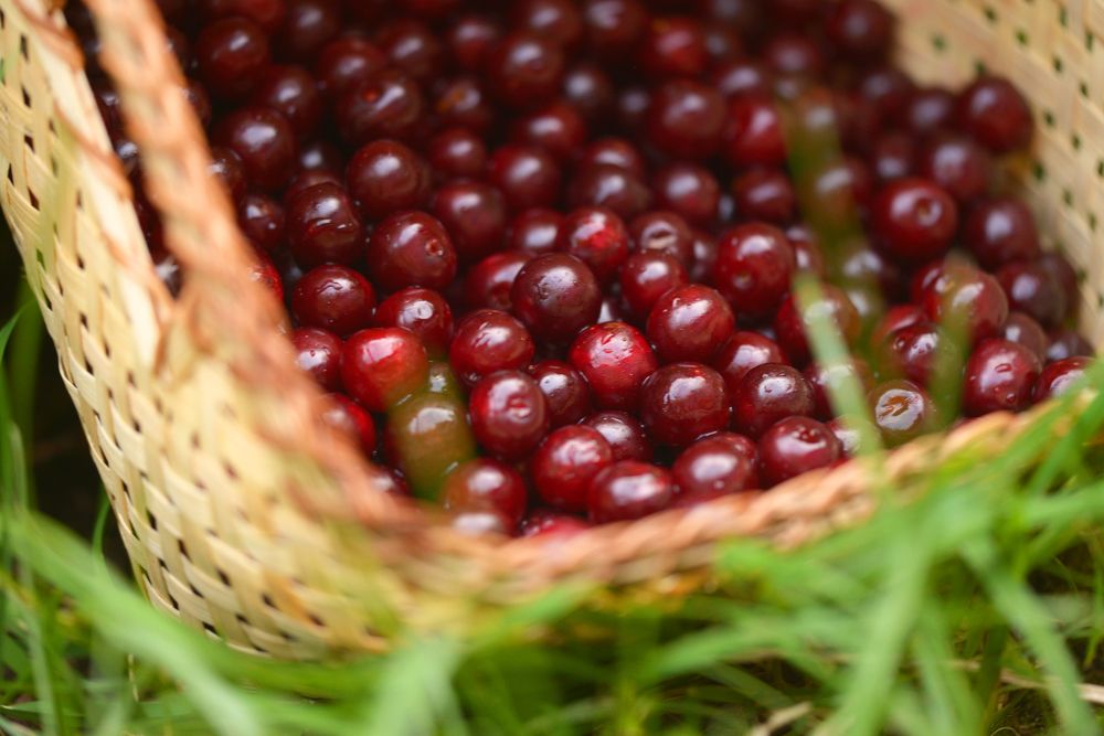 Photograph by Татьяна Кужаниязова