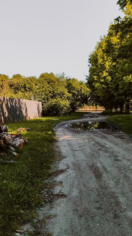 Фотография автора Любовь