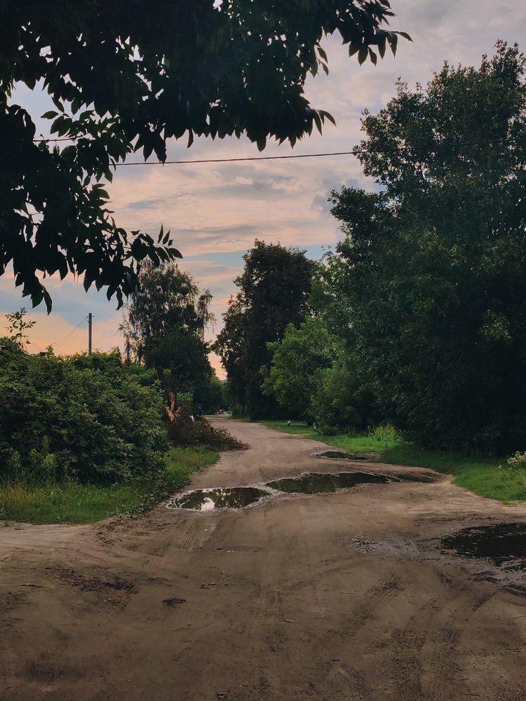 Фотография автора Любовь