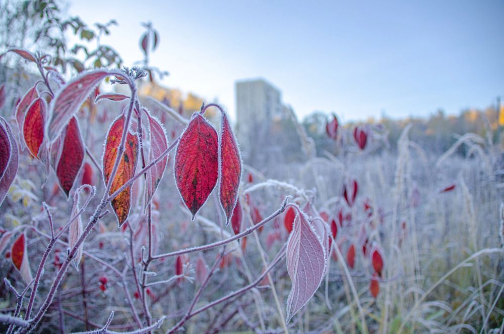 Photograph by Надежда Михайлина
