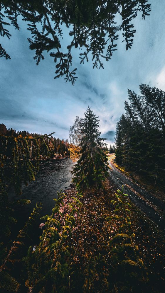 Photograph by Денис Нарышев