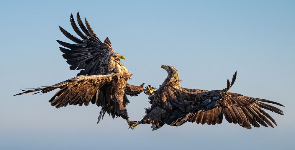 Photograph by Tímea Ambrus