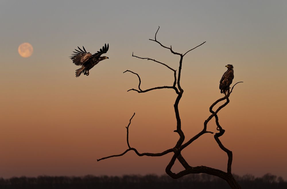 Photograph by Tímea Ambrus