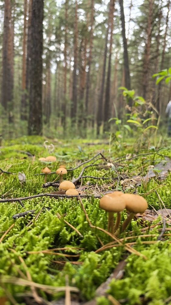 Photograph by Ольга Фомина