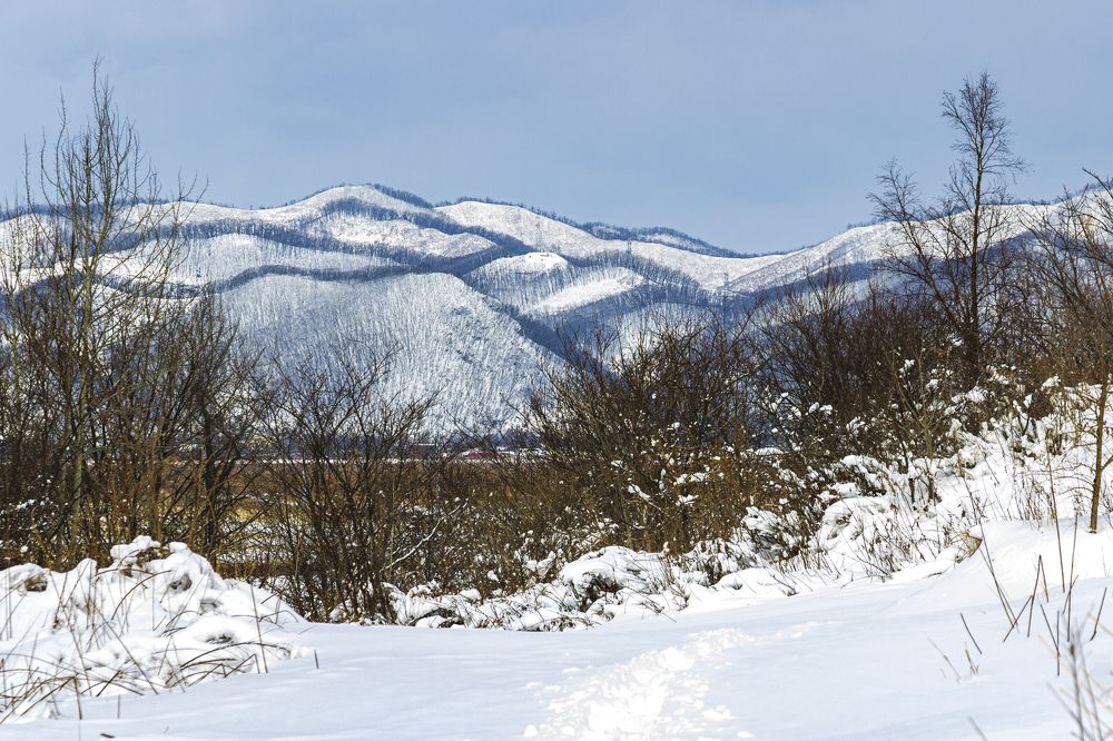 Photograph by Sergey Tsubanov