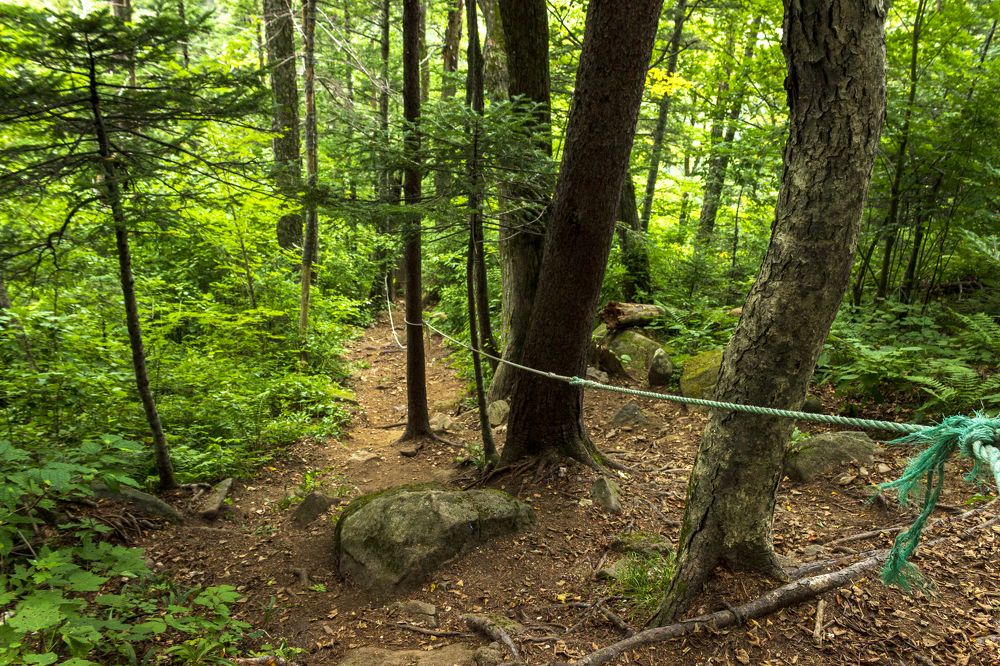 Photograph by Sergey Tsubanov