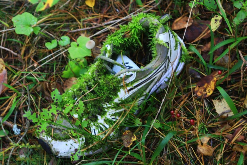 Photograph by Igors Rostikovs