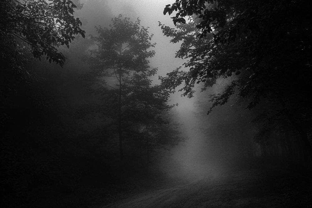 Photograph by hasan sorena jouri