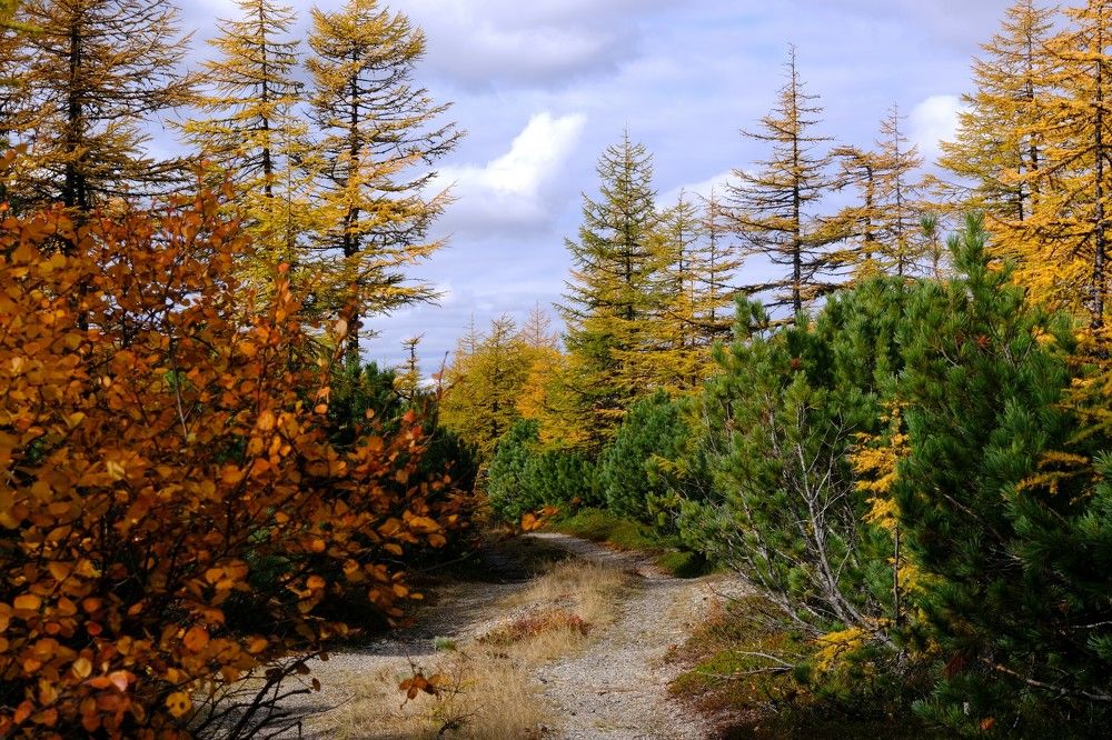 Photograph by Хазан Сергей