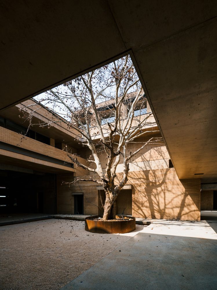 Photograph by Zhechen Yu