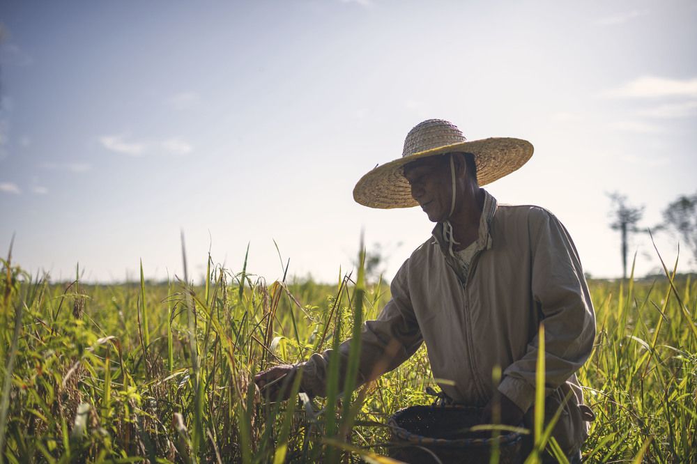 Photograph by Nunong Tindin