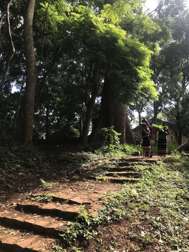 Photograph by HIEU LIEM DO