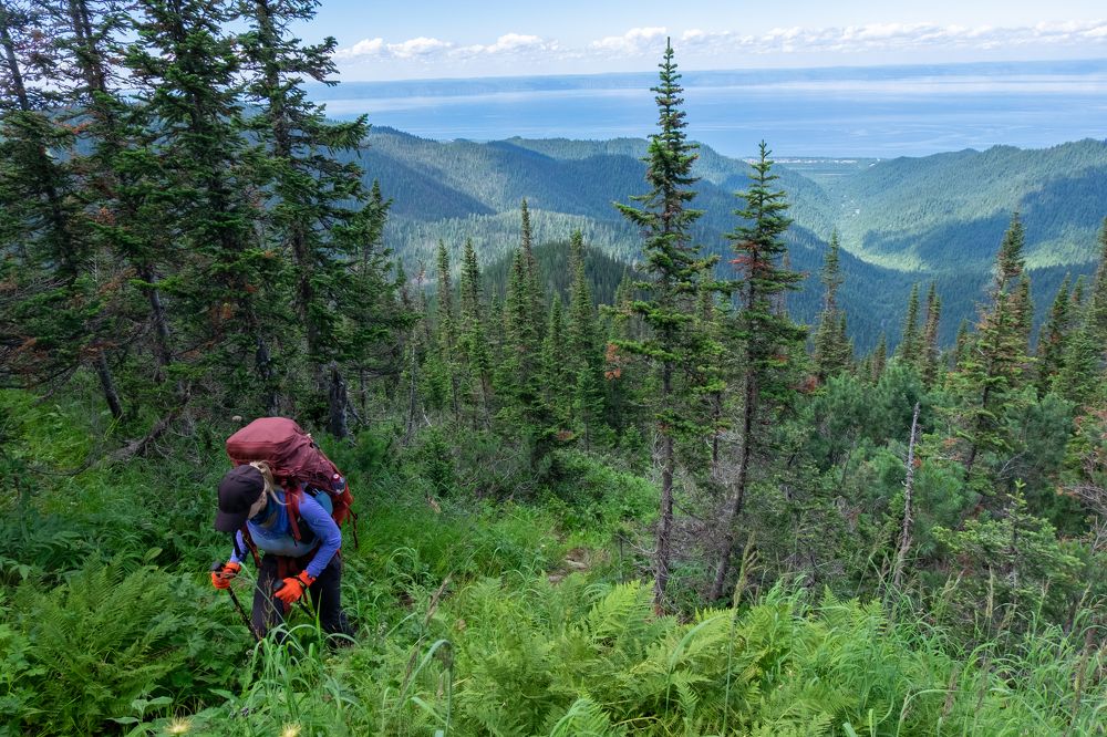 Фотография автора Андрей Ильков