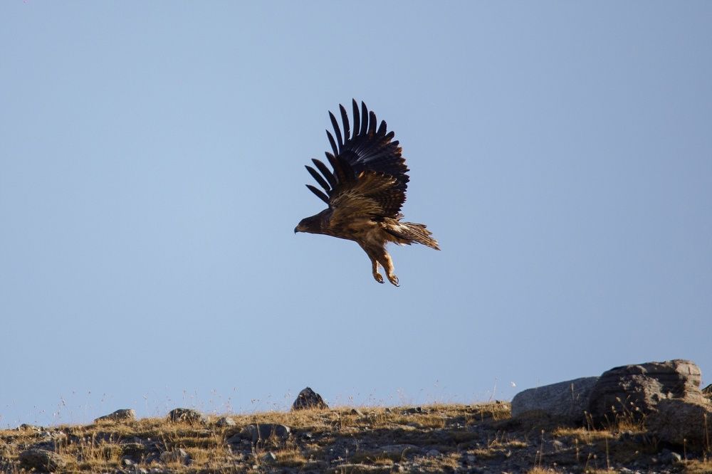 Photograph by Нерозя Александр