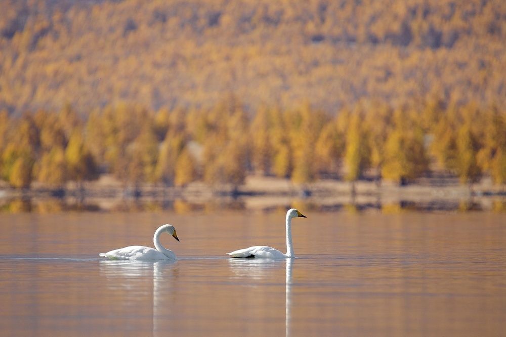 Photograph by Нерозя Александр