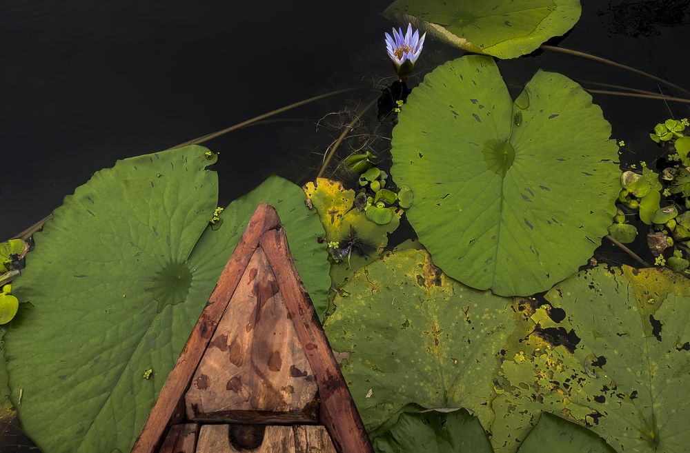 Photograph by gaming with Alan