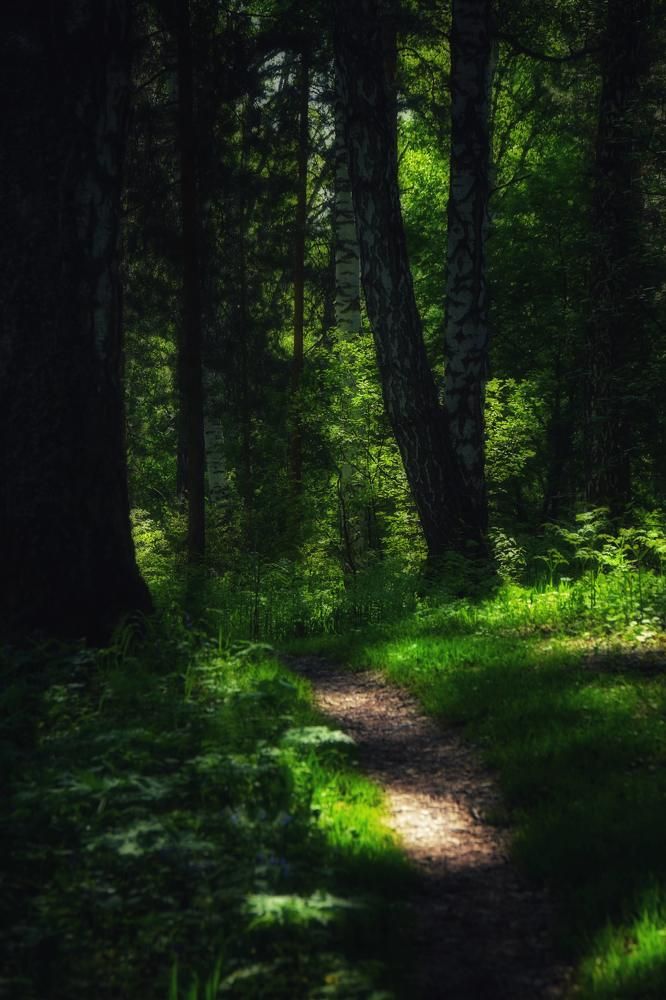 Photograph by Митюшкова Алёна