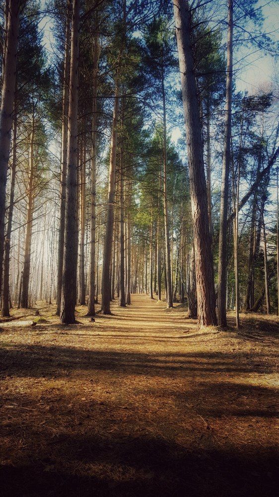 Photograph by Митюшкова Алёна