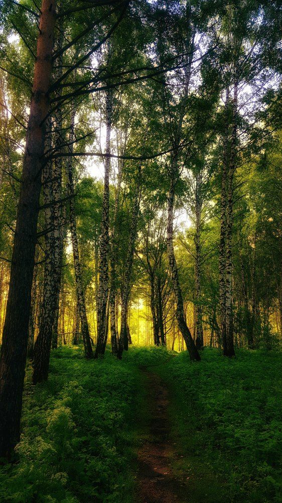 Photograph by Митюшкова Алёна