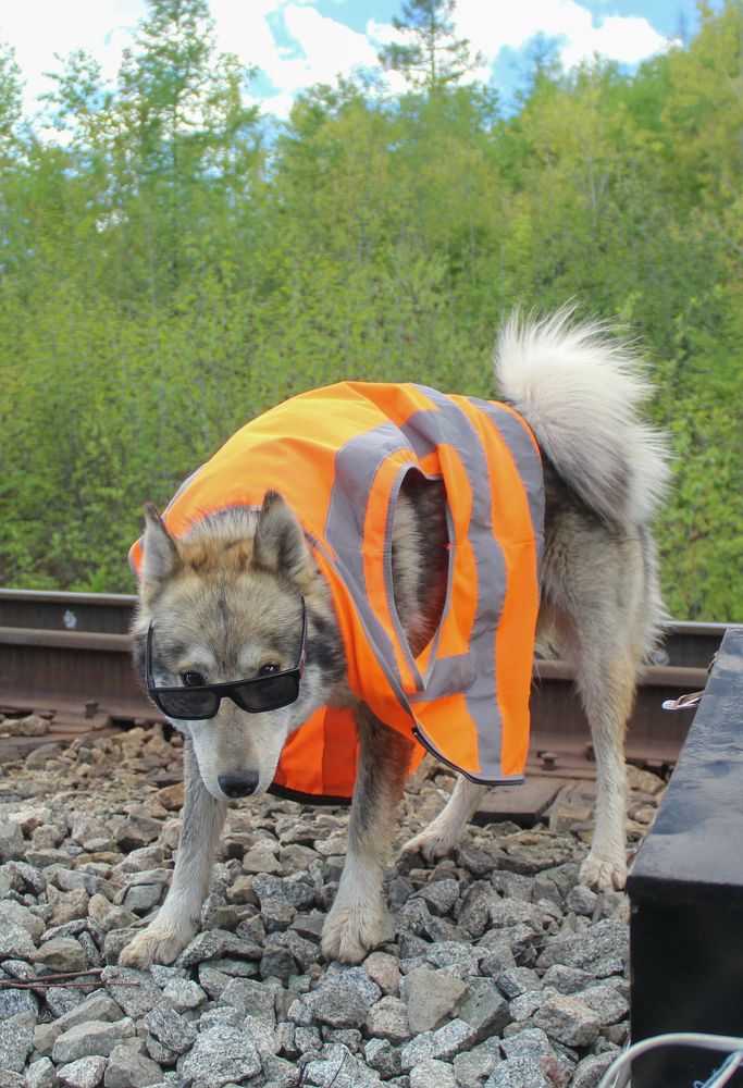 Photograph by Михаил Мархинин