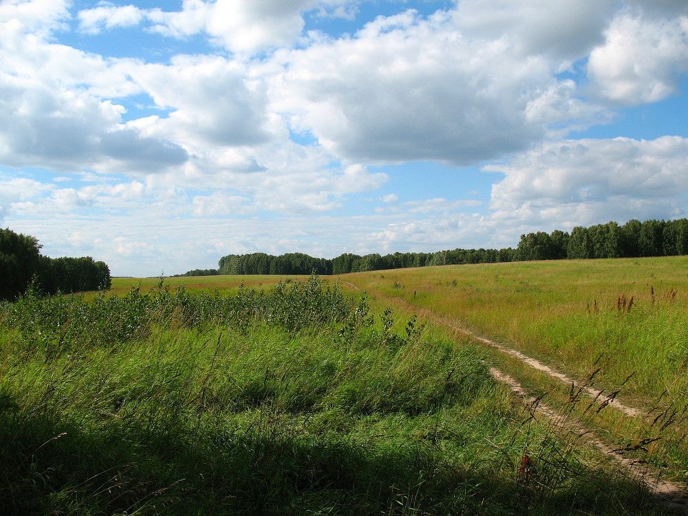 Photograph by Владимир