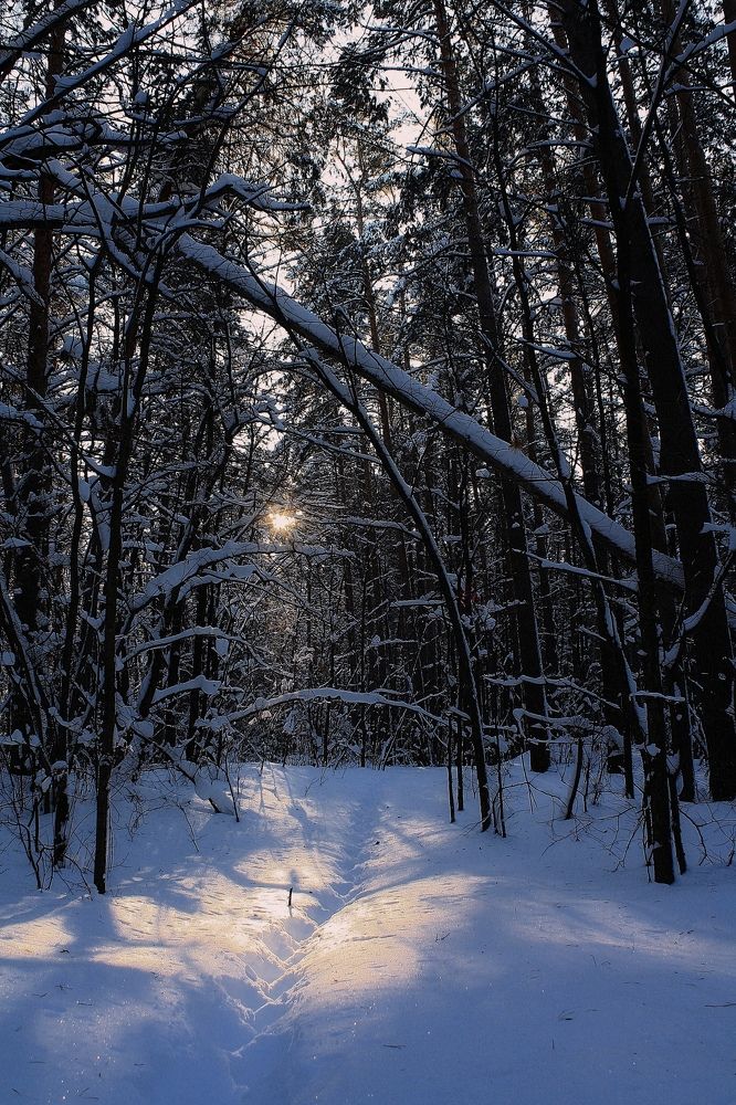 Photograph by Серёга Ануфриев