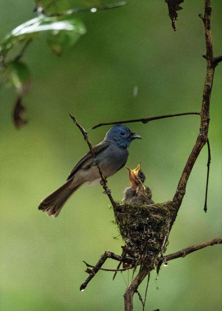 Photograph by Sakshi Pawar