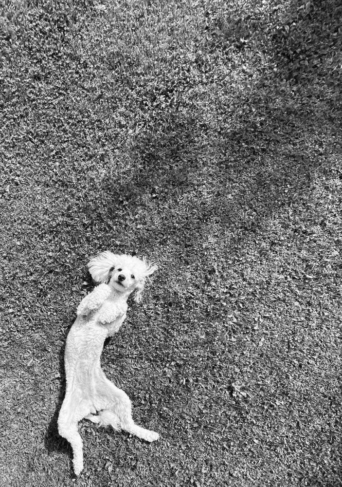 Photograph by Юля Базылева