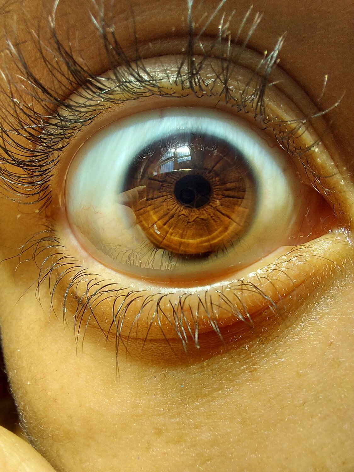 Brown