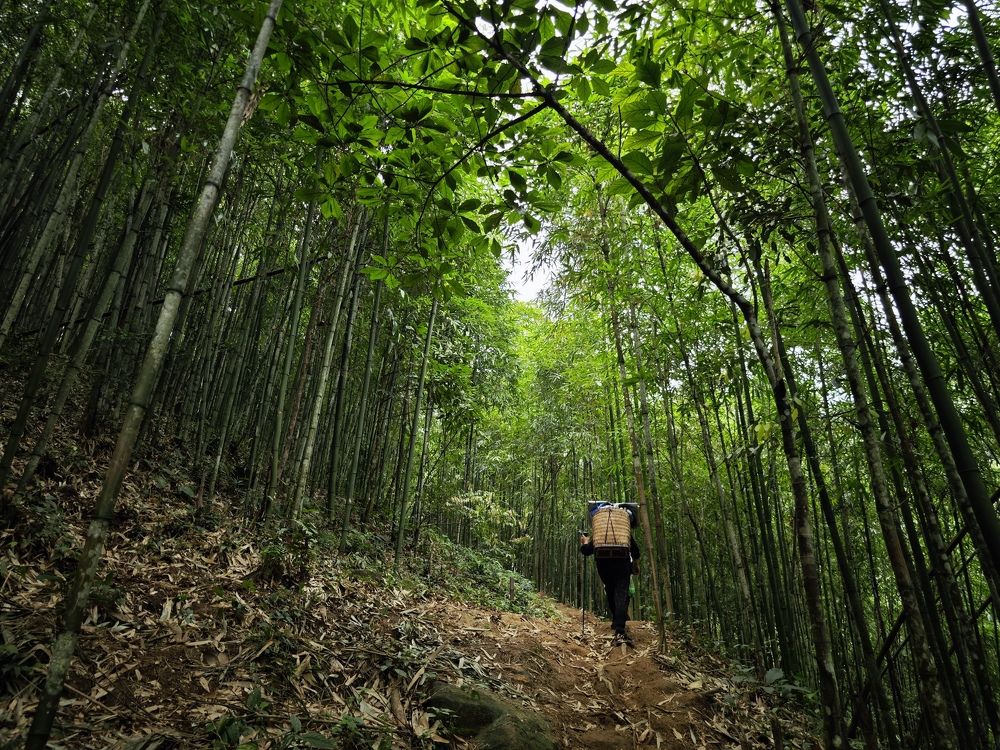 Photograph by Minh Đức Võ
