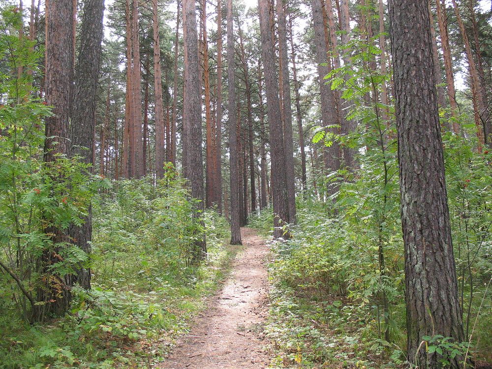 Photograph by Владимир