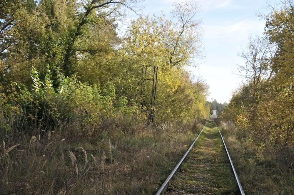 Photograph by Константин