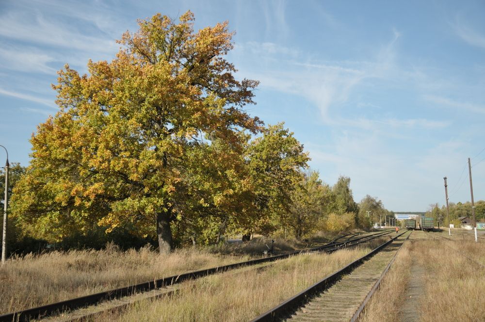 Photograph by Константин