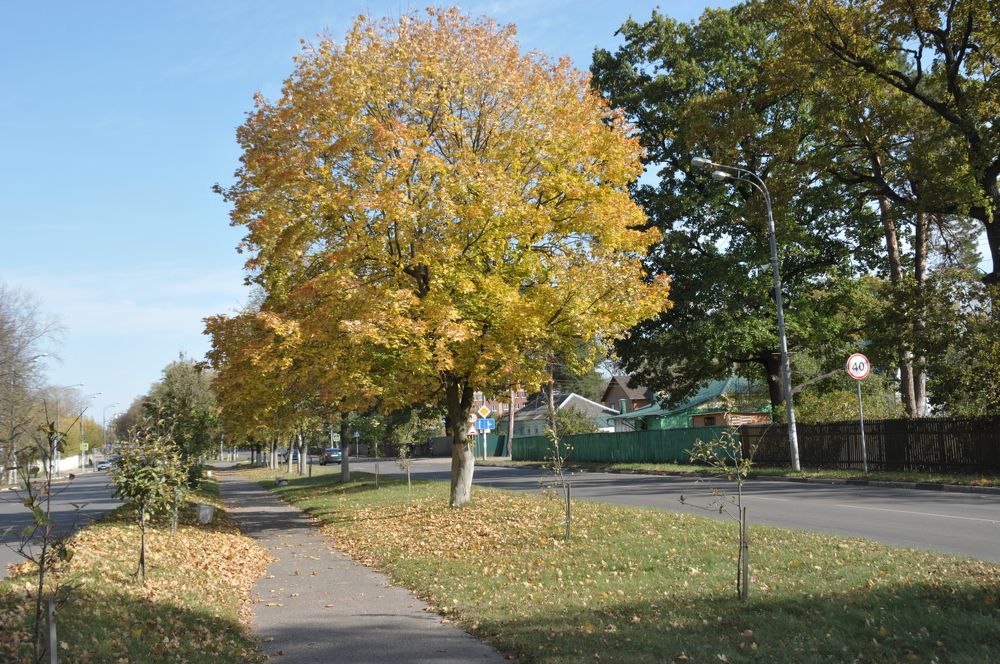 Photograph by Константин