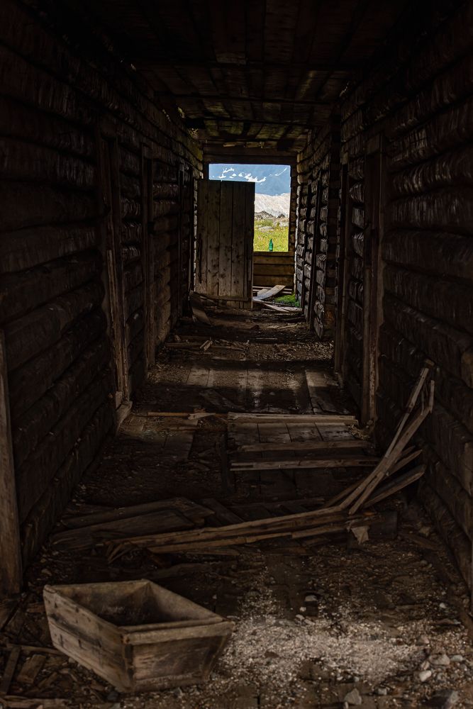 Photograph by Алексей Торлопов