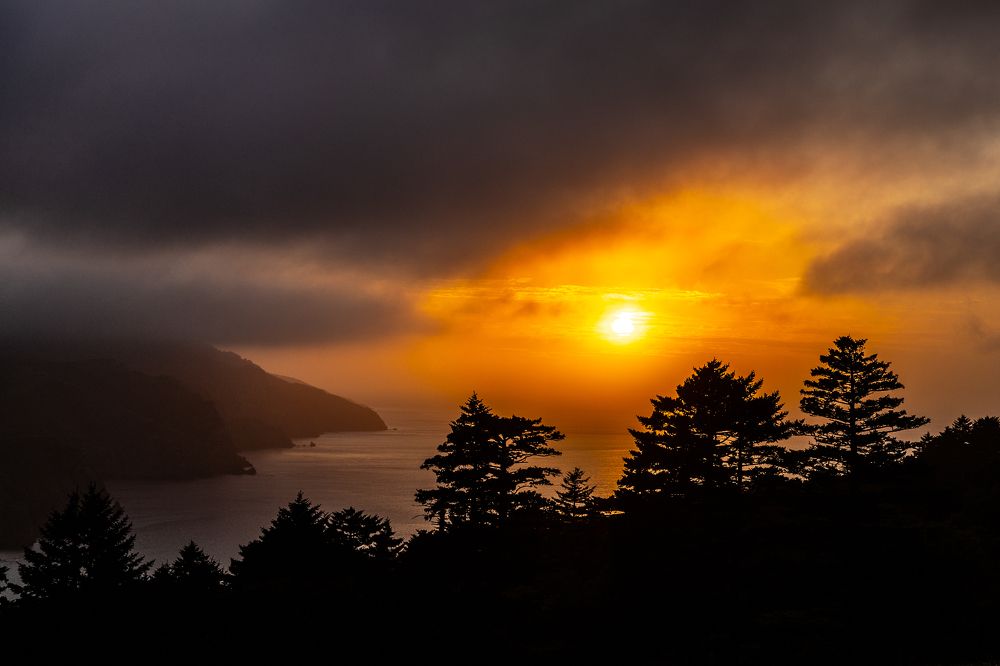 Photograph by Анна Сорокина