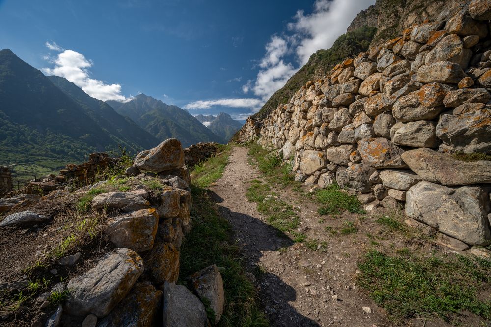 Фотография автора Дмитрий Referee