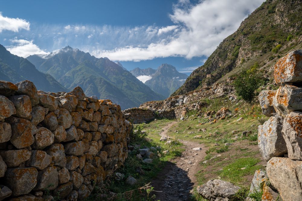 Фотография автора Дмитрий Referee