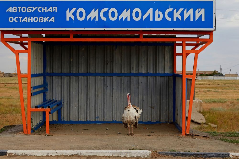 Photograph by Дмитрий Пасынков