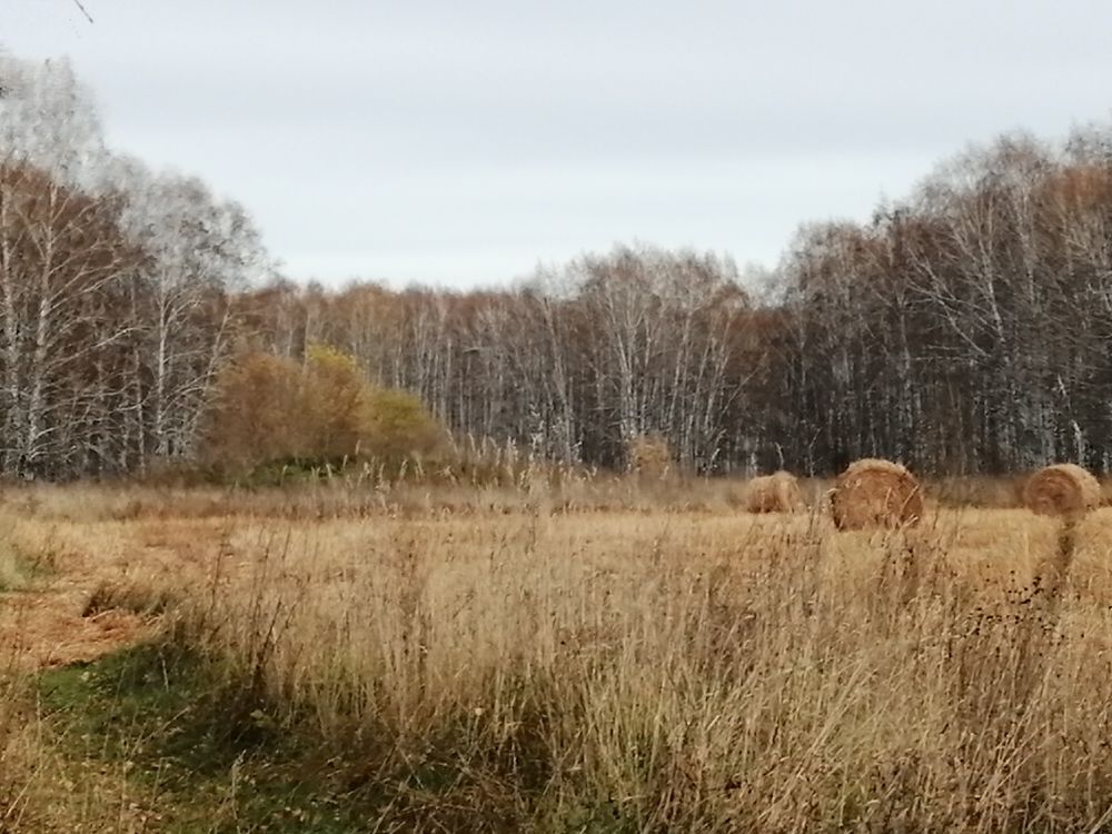 Photograph by Галина Попова