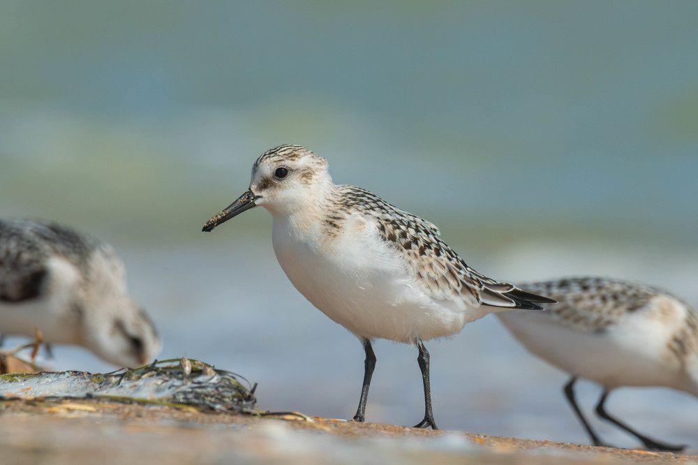 Photograph by Владимир Стрелков