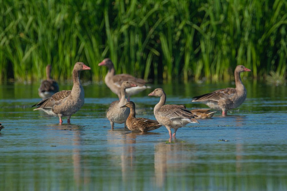 Photograph by Владимир Стрелков