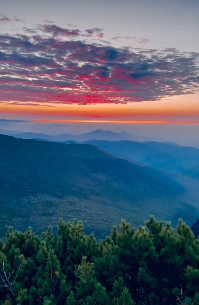 Photograph by Валерия