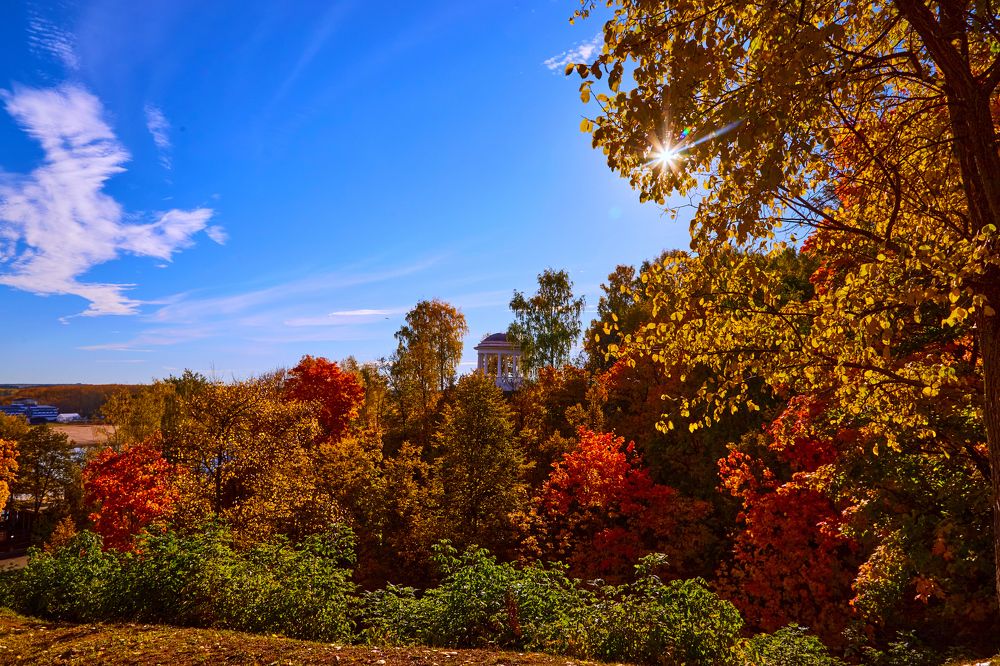 Photograph by Дмитрий Пасынков