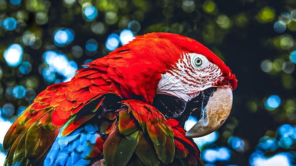 Photograph by Ricardo Patrese