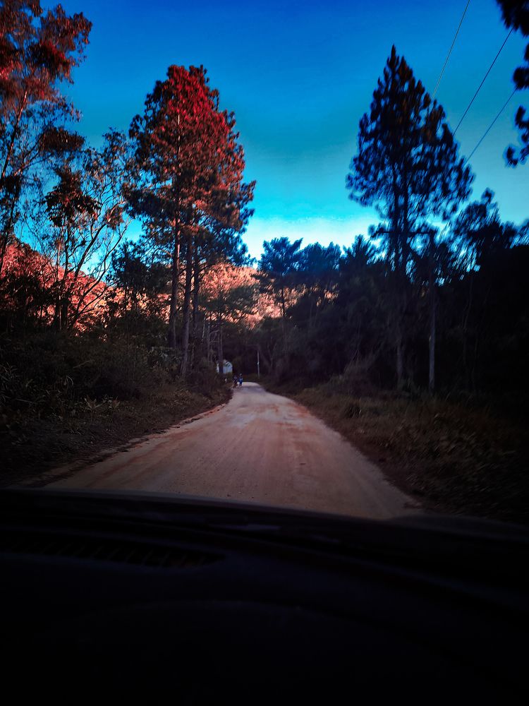 Фотография автора Elaine Almeida