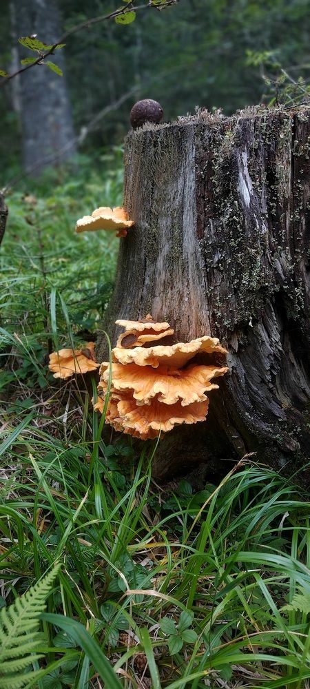 Photograph by Валерия