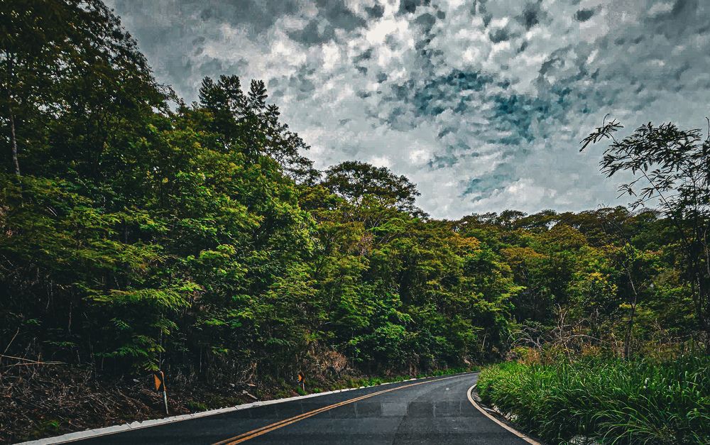 Фотография автора Elaine Almeida