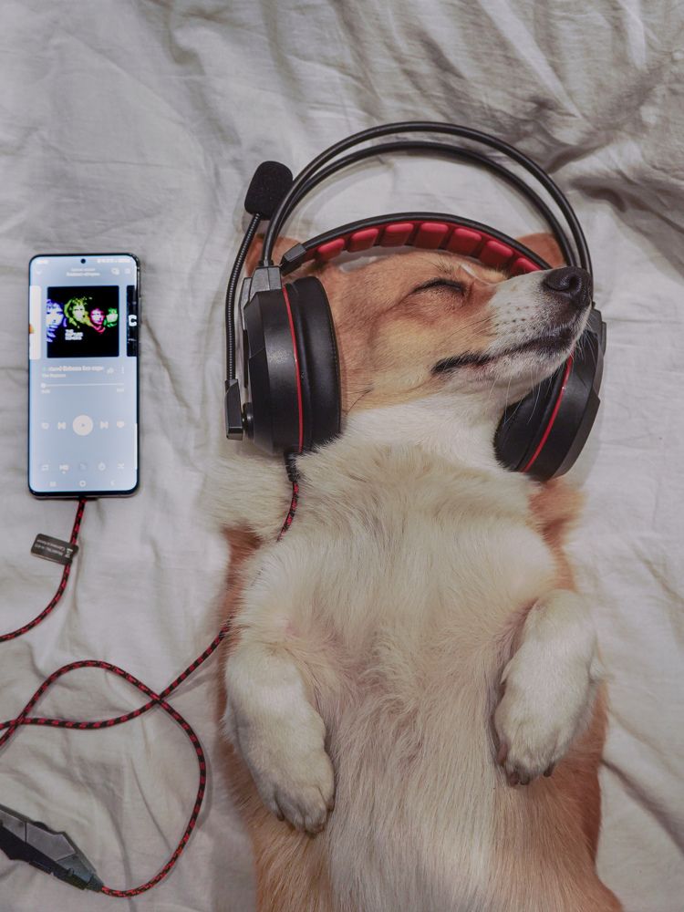 Photograph by Светлана Смирнова