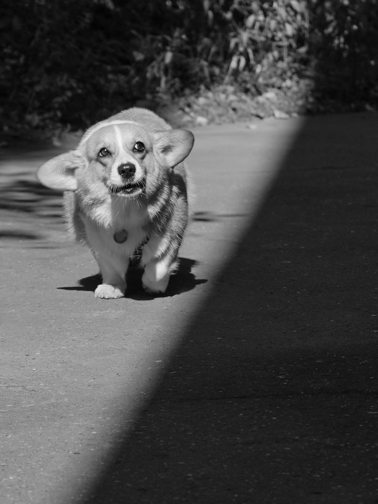 Photograph by Светлана Смирнова